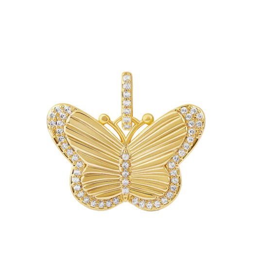 Playful Butterfly